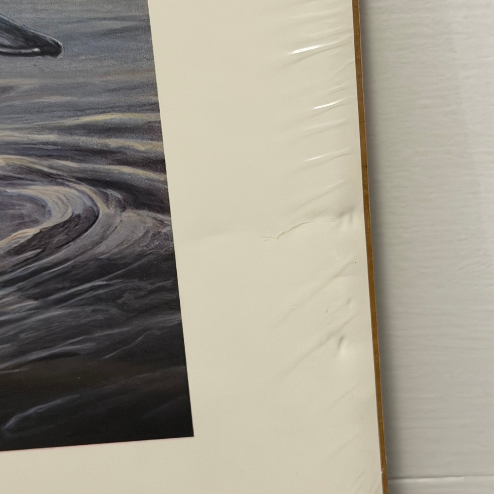 Laura Mark-Finberg Solitude Canvasbacks Print 18x14 Ducks Waterfowl - Picture 10 of 16